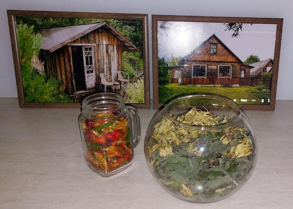 Spicy Studio In Art Nouveau District, Culture Trip Riga Luaran gambar